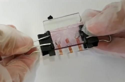 OLEDs